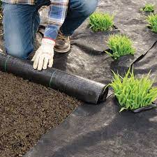 Landscaping Supplies For Your Yard