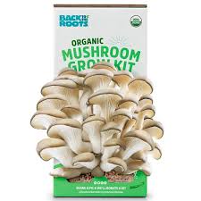 Roots Organic Mushroom Grow Kit