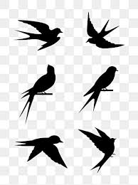 Swallow Silhouette Png And Vector