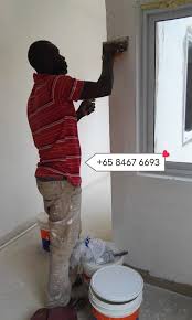 Painting Service Anti Mould Treatment 2