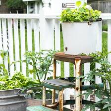 Easy Container Gardening Herbs
