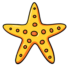 Cartoon Starfish Icon 18803533 Png