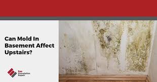 Can Mold In Basement Affect Upstairs