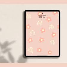 Ipad Wallpaper Pink Daisy Flower Ipad