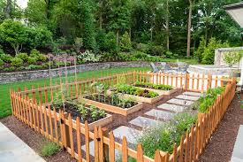 Residential Gardens Love Carrots