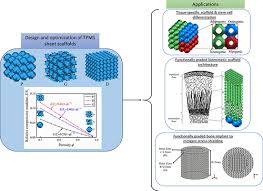 Triply Periodic Minimal Surfaces Sheet