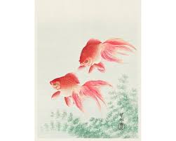 Asian Goldfish Art Print Japanese Koi