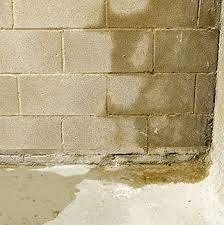 Damp Basement Here S How To Get It Dry