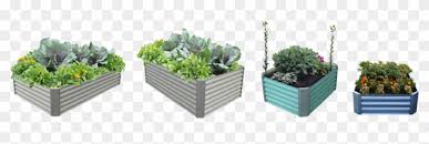 Garden Bed Raised Bed Gardening