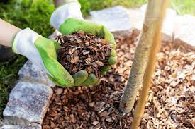 11 Diffe Types Of Landscaping Mulch