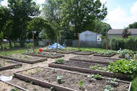 Homegrown 101 Raised Beds Farm Aid