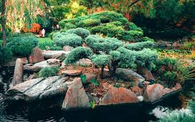 How To Create A Japanese Garden Expert