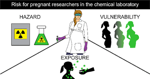 Chemical Laboratory