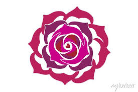 Rose Blossom Flower Sketch Symbol Icon