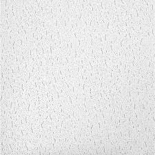Armstrong Ceilings Textured 2 Ft X 2 Ft Lay In Ceiling Panel Case Of 16 White