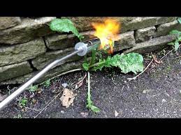 Weed Burner How To Kill Weeds Without