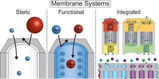 Integrated Membrane Systems