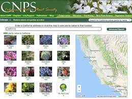 Native Plant Design Basics California