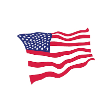Usa Flag Icon Design Template Vector