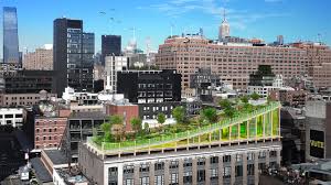 A Biotope Above Manhattan Ubm