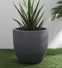 Plant Pots Buy Flowers Pot Upto 70