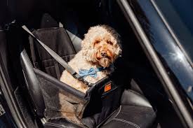 Studio Proud Foldable Dog Car Seat