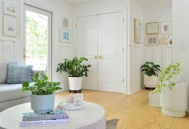 9 Easy Low Light Indoor Plants Young