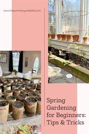 Spring Gardening For Beginners Tips