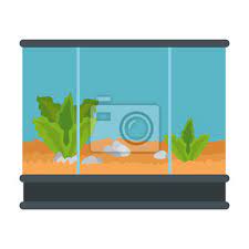 Square Aquarium Without Fish Icon