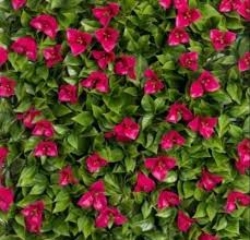 Normal Artificial Red Flower Wall Mat