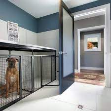 Dog Room Ideas