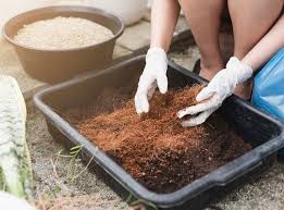 How To Make A Coco Coir Soil Mix And