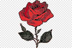 Rose Icon Plant Stem Flower Png