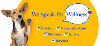Pet Food Pet Supplies Pet S