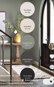 100 Best Green Gray Paint Ideas In 2024