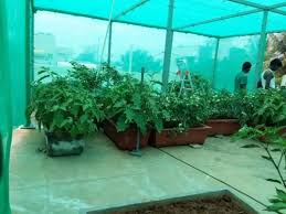 Green Plastic Garden Shade Net At Rs 18