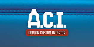 Adrian Custom Interior Logo Sir Lion Labs