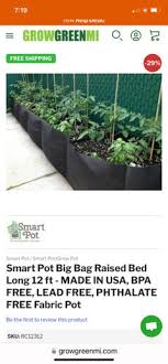 Starting A Vegetable Garden On Concrete