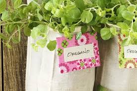 Grow A Vertical Herb Garden In A Shoe