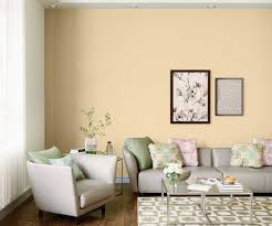 Kesar Milk 7962 House Wall Painting