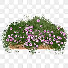 Flower Bed Png Transpa Images Free