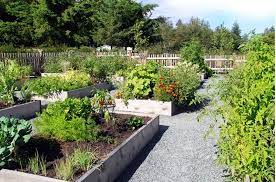 How To Organize A Community Garden