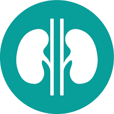Gfr Calculator Egfr Glomerular