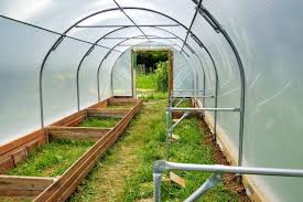 10 Greenhouse Shelving Ideas For