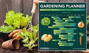 Sow Plant And Harvest Vegetables