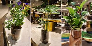 Indoor Plant Design At D Ark Icon Siam