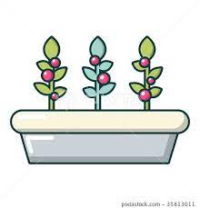 Outdoor Potted Plants Icon Cartoon