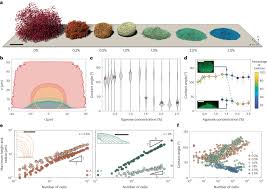 Nature Physics