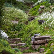 How To Plan A Garden On A Steep Slope