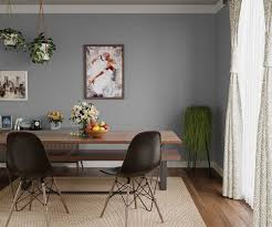 Grey Matter Subtle Wall Paint Colour